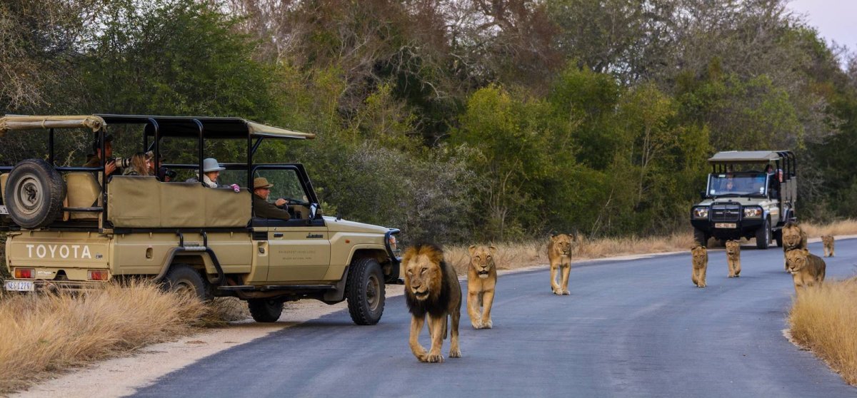 Parque Nacional do Limpopo